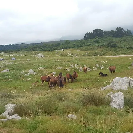 Appartement C20a02 Val De San Vicente By R2r Consulting *