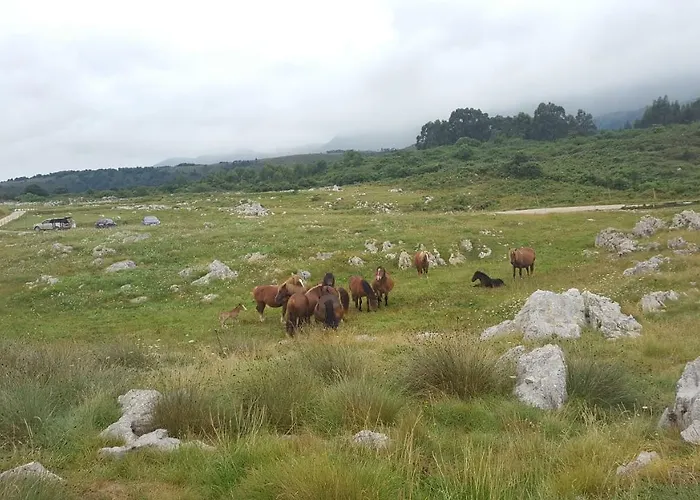 Apartment C20a02 Val De San Vicente By R2r Consulting *